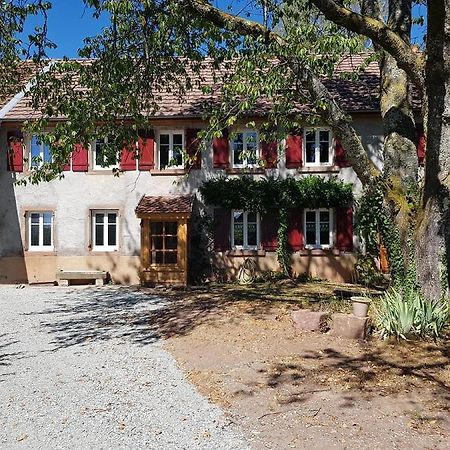 Le Jardin Des Gouttes Bed & Breakfast Rougegoutte Bagian luar foto