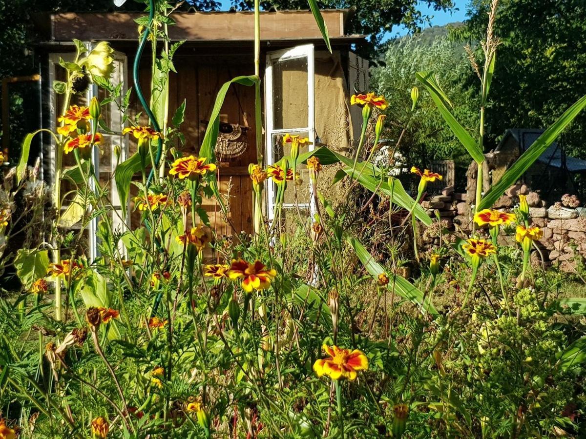 Le Jardin Des Gouttes Bed & Breakfast Rougegoutte Bagian luar foto