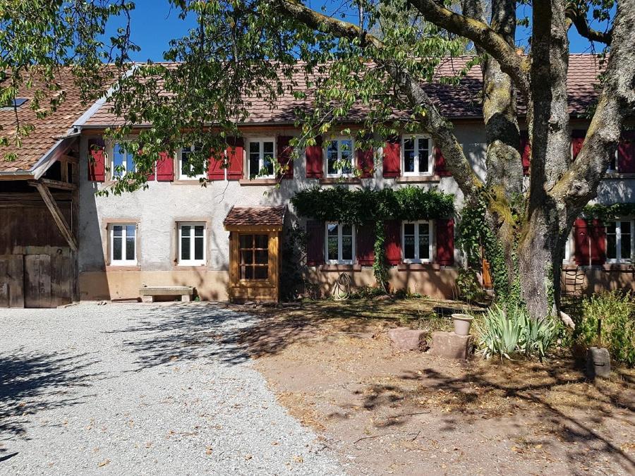 Le Jardin Des Gouttes Bed & Breakfast Rougegoutte Bagian luar foto